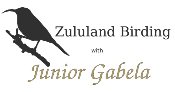 Logo for Zululand Birding with Junior Gabela